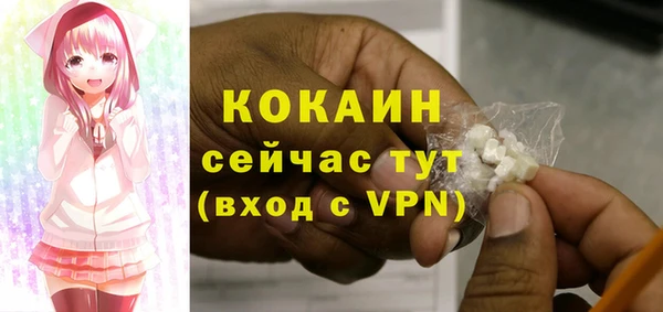 МДМА Елизово