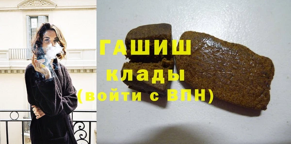 гидра Ессентукская