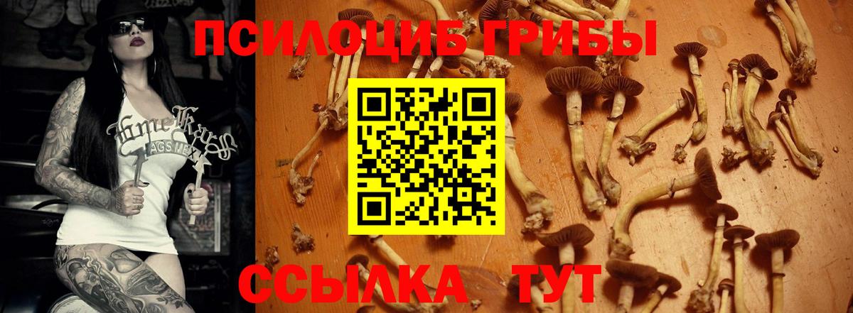 Псилоцибиновые грибы Magic Shrooms  Вход с VPN  Изобильный 
