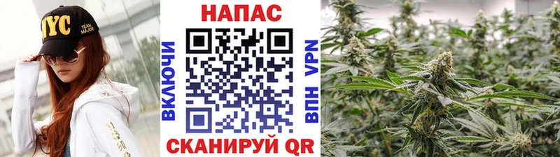 мориарти формула  Изобильный  Конопля планчик 